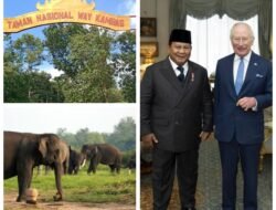 Way Kambas Masuk Agenda Raja Charles, Prabowo Dorong Diplomasi Hijau Indonesia di Panggung Global