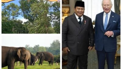 Way Kambas Masuk Agenda Raja Charles, Prabowo Dorong Diplomasi Hijau Indonesia di Panggung Global