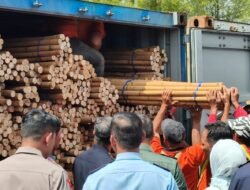 Editorial : Jangan Berhenti di Kontainer, Negara Harus Kejar Cukong Rotan Ilegal