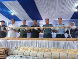 Rotan Ilegal Tujuan Tiongkok Diamankan di Pelabuhan Dwikora