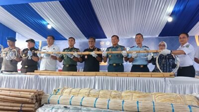 Rotan Ilegal Tujuan Tiongkok Diamankan di Pelabuhan Dwikora
