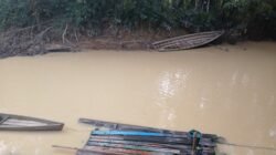 Diduga Tercemar PETI, Warga Balai Tinggi Kehilangan Air Bersih, Laporan ke Polisi Tak Berujung Tindakan