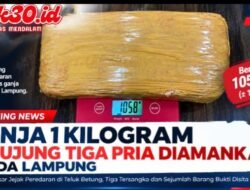 BREAKINGNEWS: Polda Lampung Bongkar Peredaran Ganja 1 Kilogram, Tiga Pria Diamankan