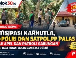 Antisipasi Karhutla, TNI-Polri dan Satpol PP Palas Patroli Wilayah Rawan Kebakaran