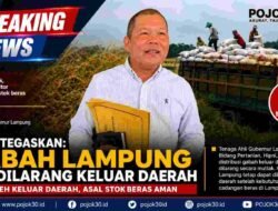 BREAKING NEWS: Hipni Tegaskan Gabah Lampung Tak Dilarang Keluar Daerah
