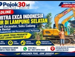 HEADLINE |                                                                     CV Mitra Exca Indonesia Hadir di Lampung Selatan, Layani Jual Beli Excavator, Suku Cadang hingga Rental untuk Dukung Produktivitas
